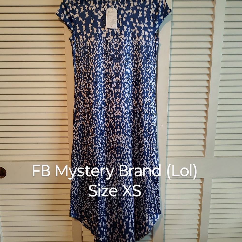 Blue and White Patterned Dress